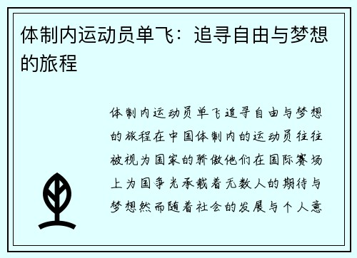 体制内运动员单飞：追寻自由与梦想的旅程